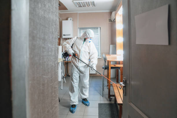 New Hempstead, NY Mold Removal Company